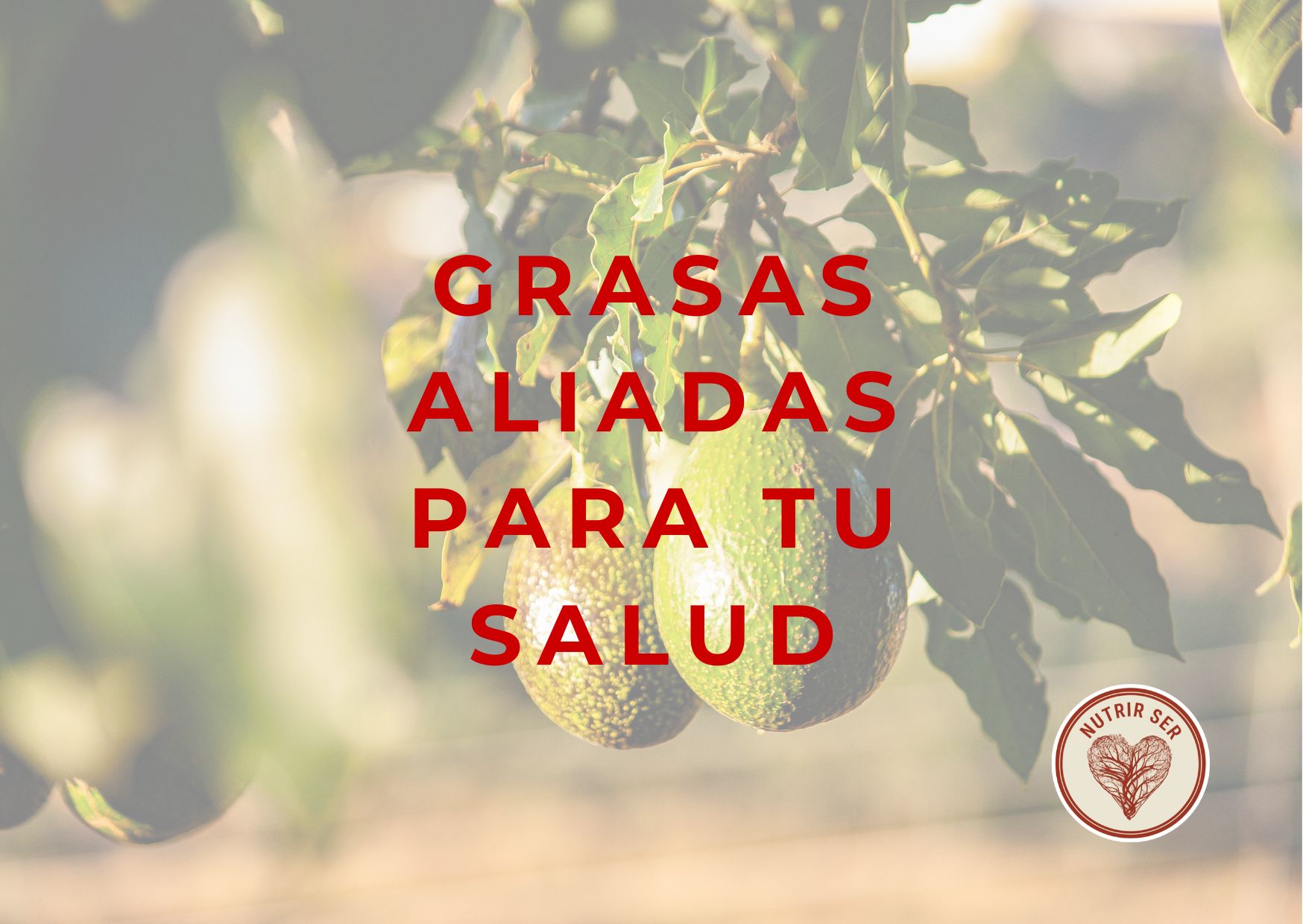 Guía Grasas aliadas